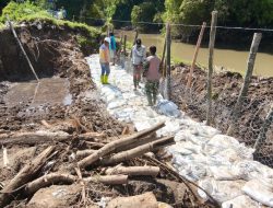 Koramil 20/Cawas Gotong Royong Perbaiki Tanggul Jebol Di Desa Japanan Cawas Klaten