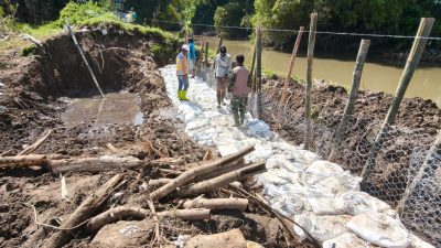 Koramil 20/Cawas Gotong Royong Perbaiki Tanggul Jebol Di Desa Japanan Cawas Klaten