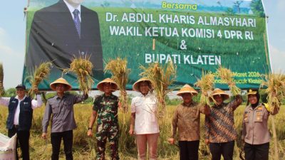 Dandim 0723/Klaten Dampingi Wakil Ketua Komisi IV DPR RI Panen Raya Padi Varietas R32 Di Klaten