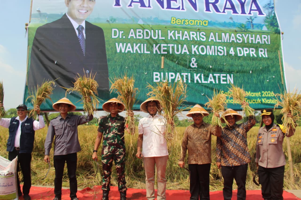 Dandim 0723/Klaten Dampingi Wakil Ketua Komisi IV DPR RI Panen Raya Padi Varietas R32 Di Klaten