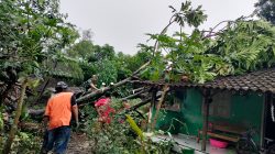 Babinsa Koramil 09/Prambanan Bersama Bhabinkamtibmas Evakuasi Pohon Tumbang Di Desa Kokosan