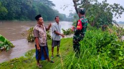 Babinsa Koramil 20/Cawas Bersama Pemerintah Desa Pantau Luapan Sungai Dengkeng Di Desa Japanan