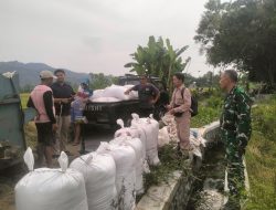 Monitoring Serapan Gabah, Danramil Wedi Klaten Pastikan Penyerapan Hasil Panen Petani Berjalan Optimal