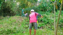 TNI Dan Warga Gotong Royong Bangun Jembatan Garuda, Akses Baru Di Burikan