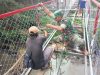 Pemasangan Ram Kawat Jembatan Gantung Garuda Di Desa Kranggan Dikebut
