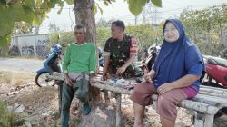 Pantau Pertanian Di Wilayah Binaan, Babinsa Desa Gumulan Perkuat Sinergi Dengan Petani
