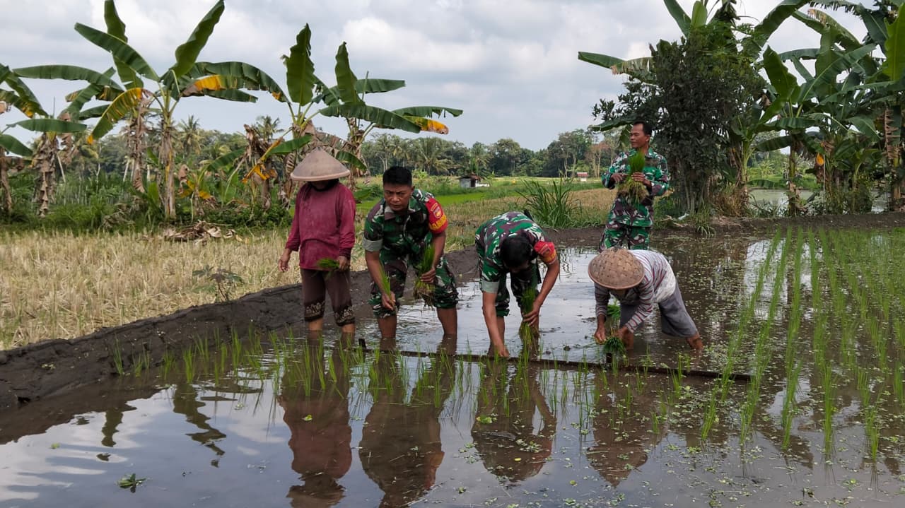 Cek LTT Dan Pompanisasi, Babinsa Koramil 12/Manisrenggo Bantu Petani Tanam Padi