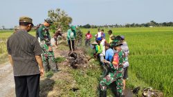 Babinsa Koramil Juwiring Dampingi Poktan Subur Makmur Gropyok Tikus, Tekan Ancaman Hama Babinsa Koramil Juwiring Dampingi Poktan Subur Makmur Gropyok Tikus, Tekan Ancaman Hama