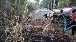 Api Lahap Ladang Kering Di Kemalang Klaten, Babinsa dan Damkar Cegah Kebakaran Meluas Api Lahap Ladang Kering Di Kemalang Klaten, Babinsa dan Damkar Cegah Kebakaran Meluas